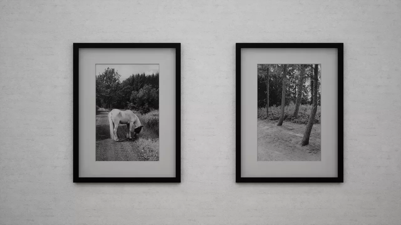 Virtual Exhibition