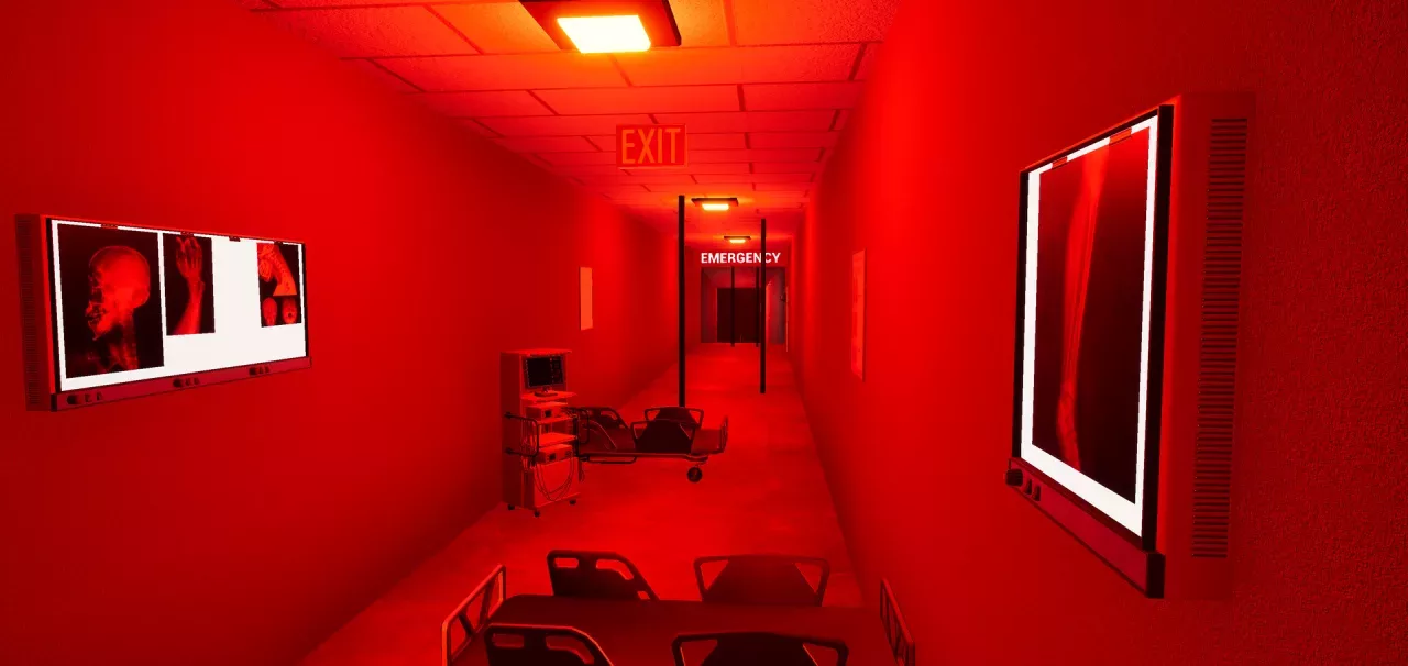 BrVR Backrooms Virtual Reality