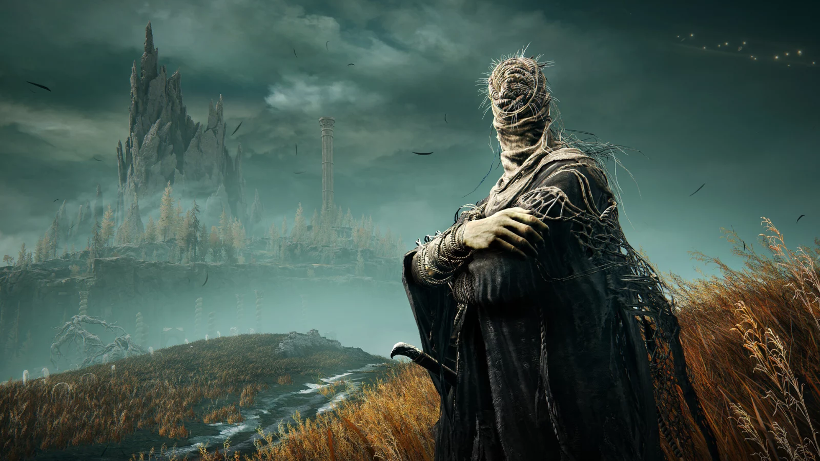 ELDEN RING Shadow of the Erdtree Premium Bundle
