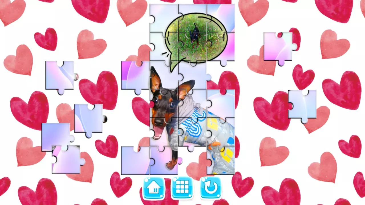 MY DOG!