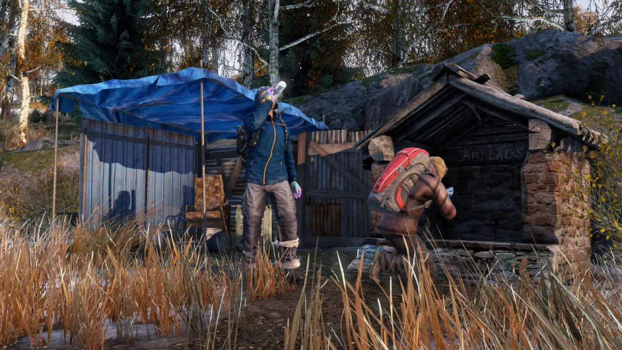 DayZ Frostline