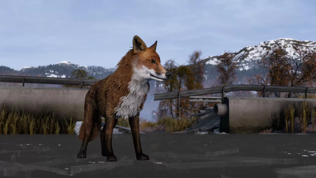 DayZ Frostline