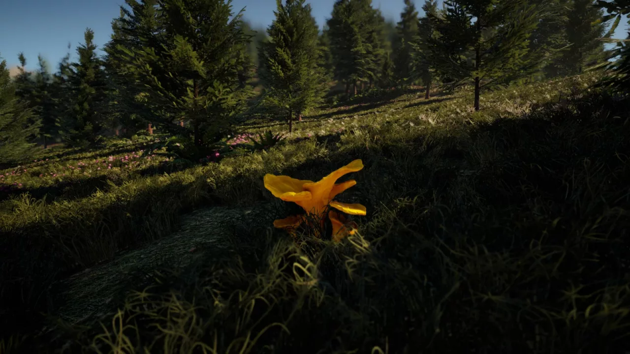 Foragers Finds