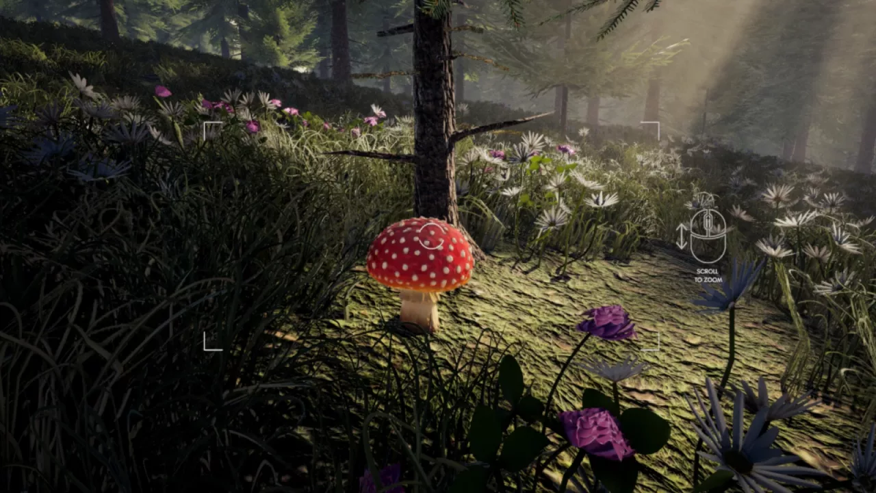 Foragers Finds