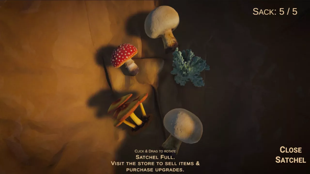 Foragers Finds