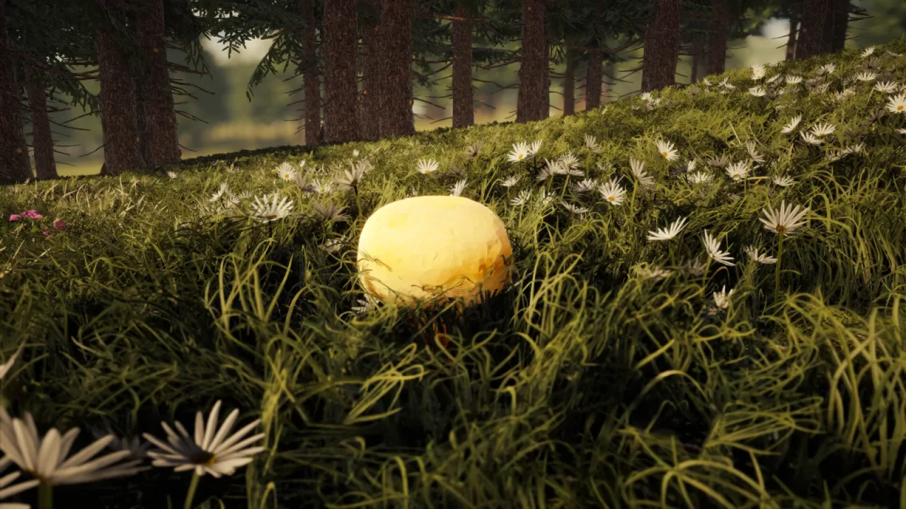 Foragers Finds