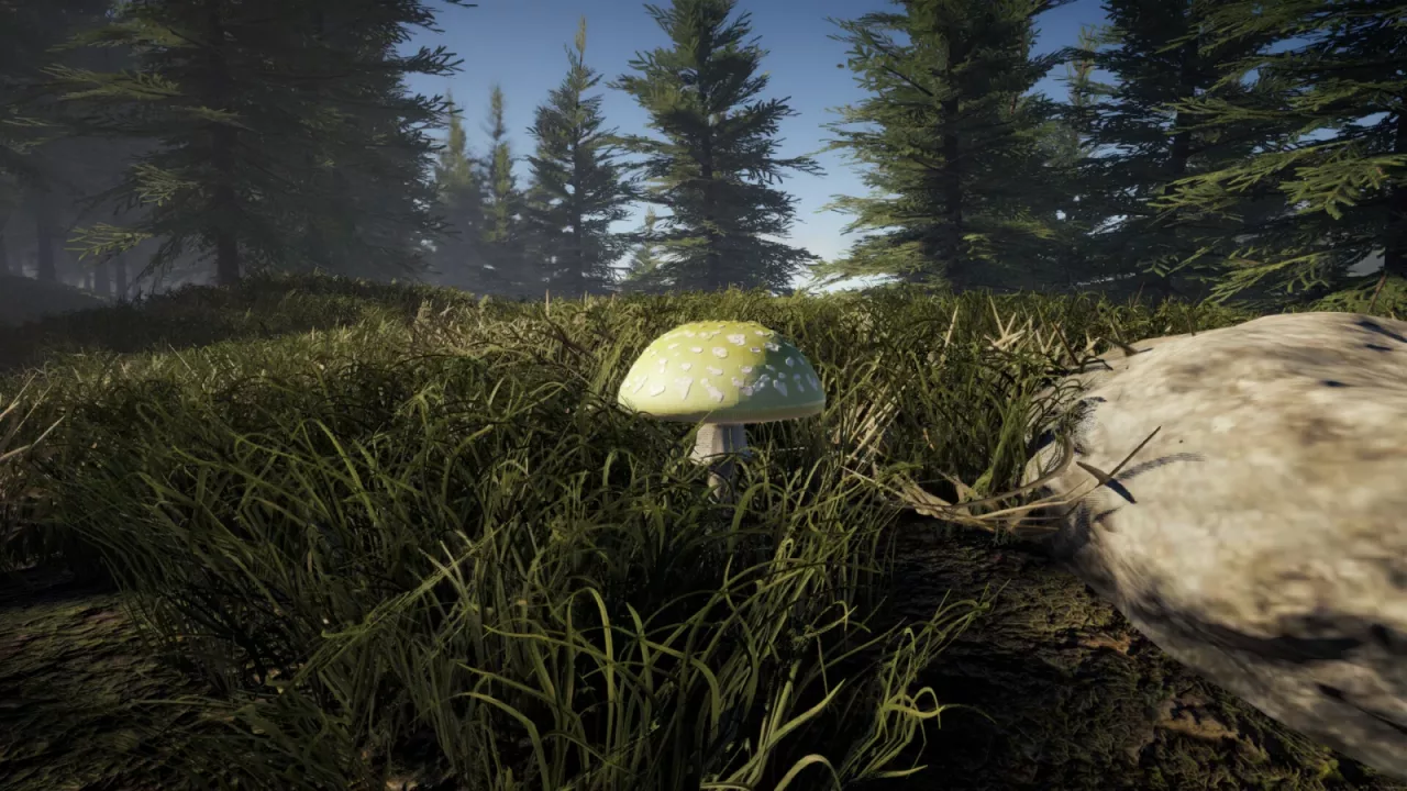 Foragers Finds