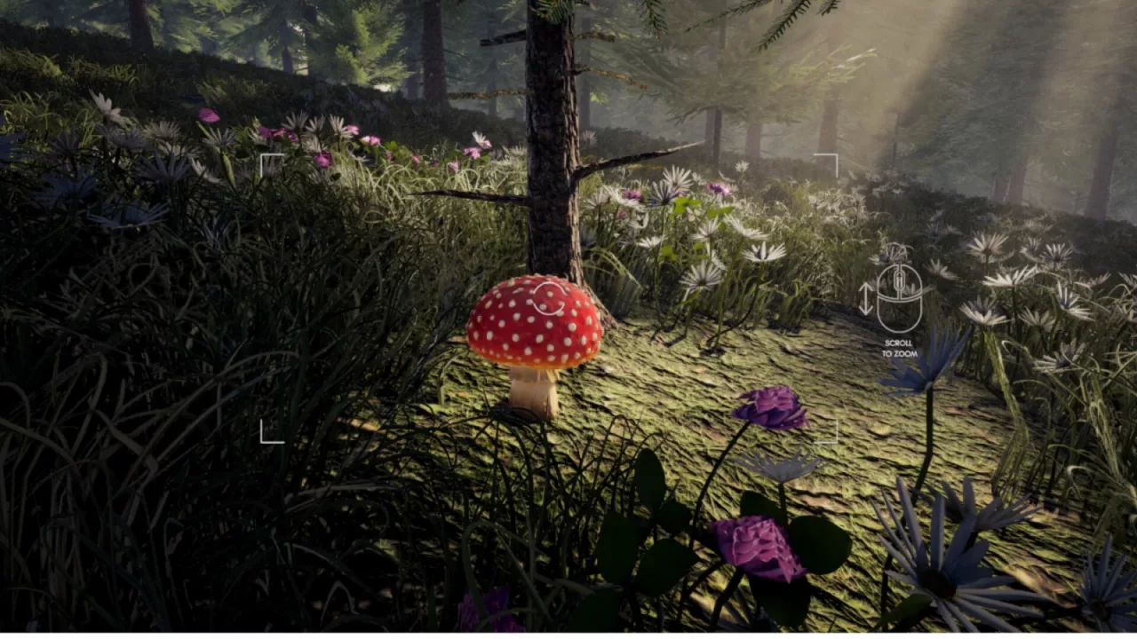 Foragers Finds Demo
