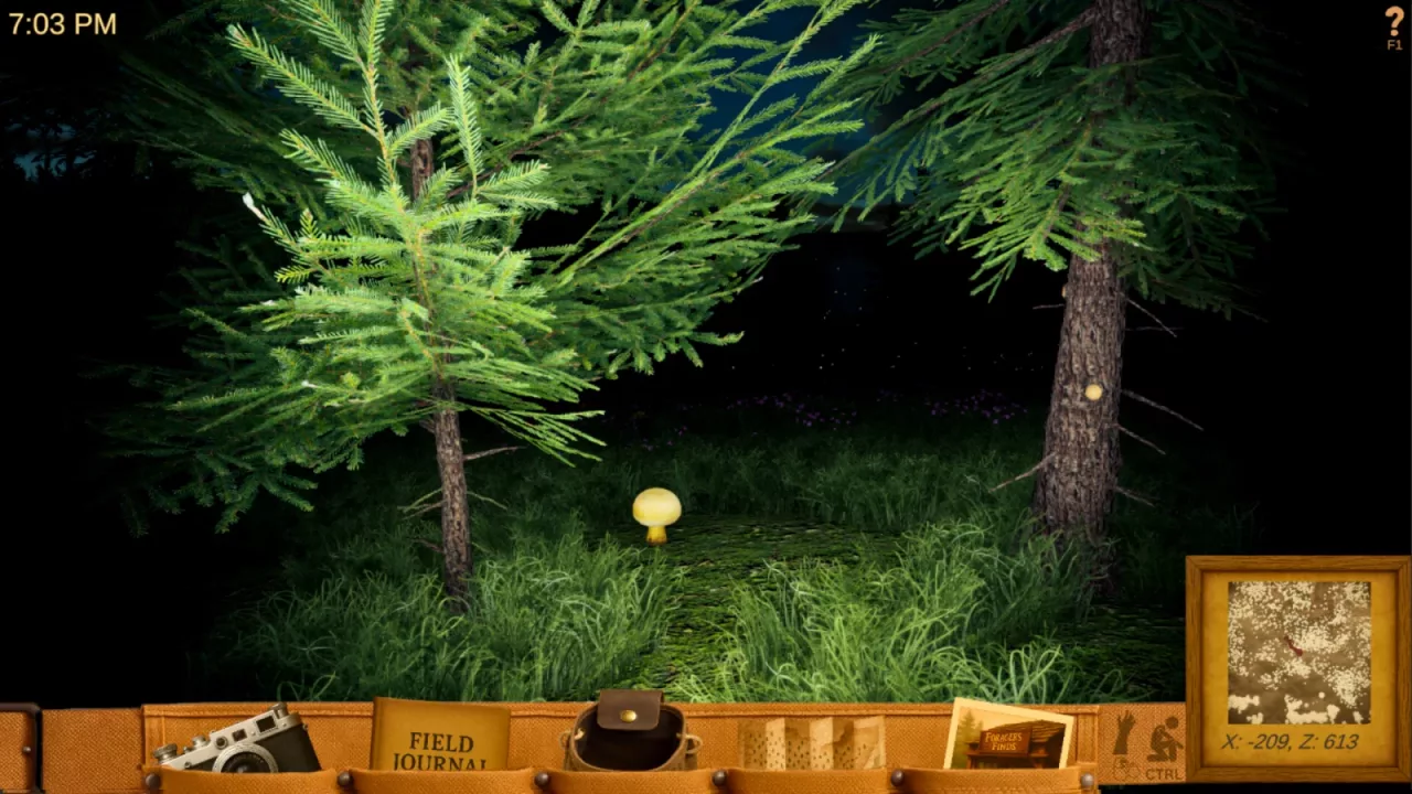 Foragers Finds Demo