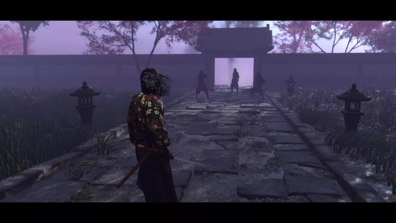 Red Masked Ronin: Desires and Shadows