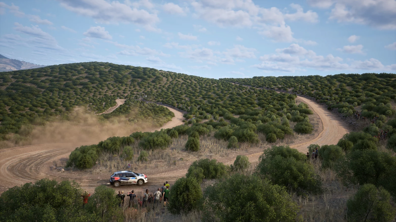 Assetto Corsa Rally