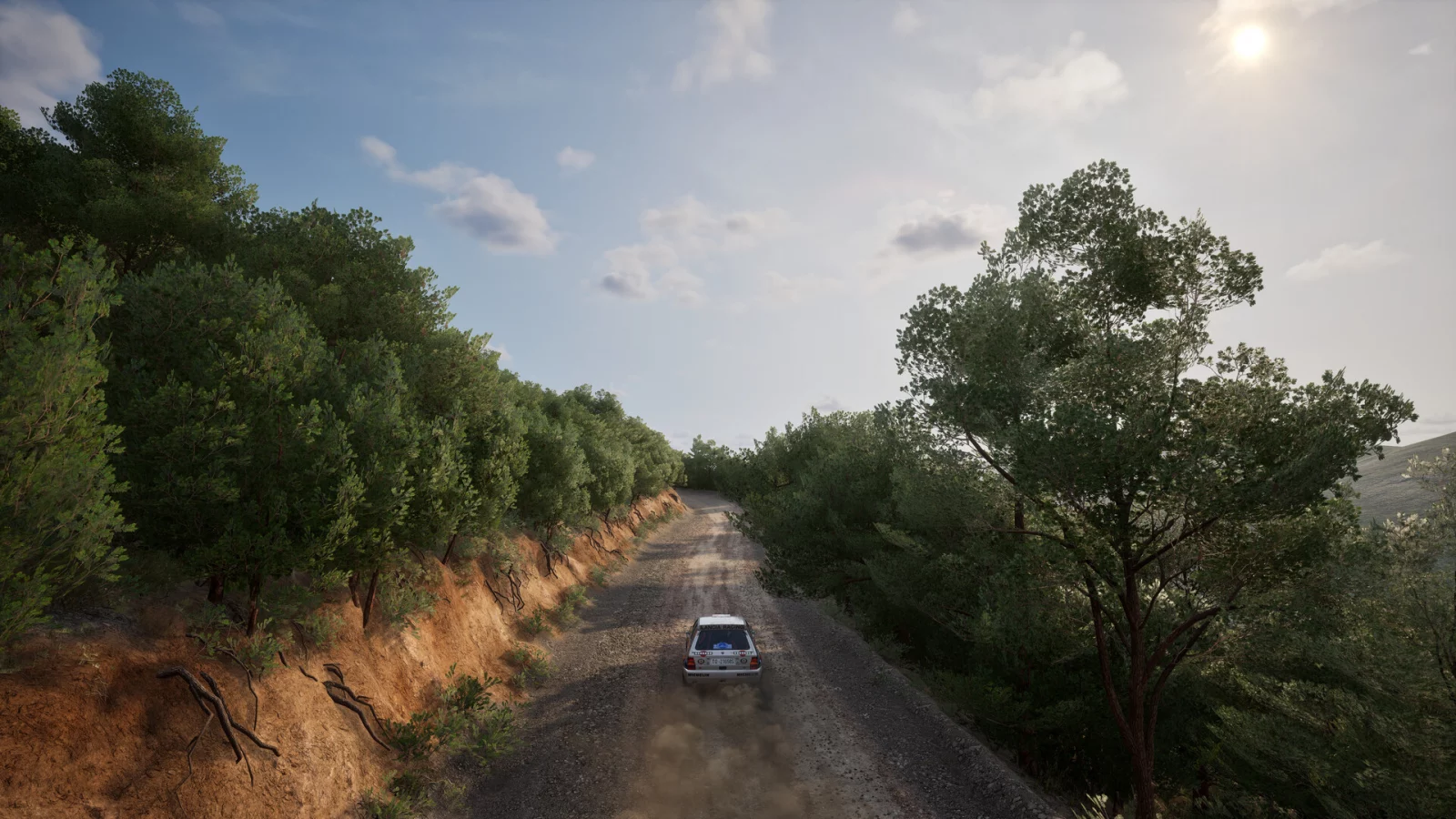 Assetto Corsa Rally