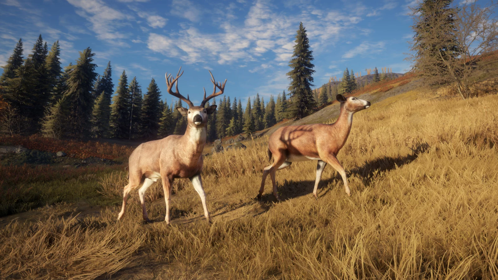 theHunter: Call of the Wild™