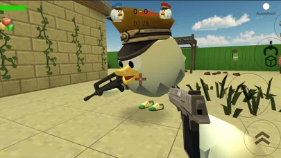 Chicken Gun