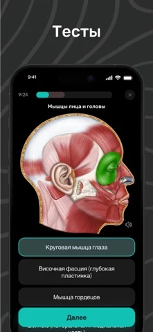 Easy Anatomy: 3D Atlas + AI