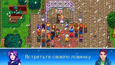 Stardew Valley
