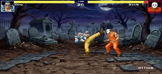 Retro Fighters: Street Fury 2D