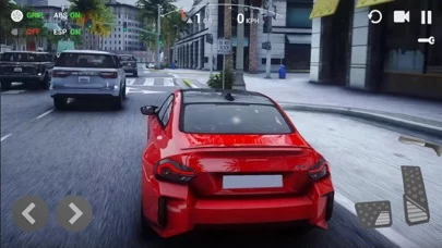 UCDS/ULTIMATE CAR DRIVING SIM
