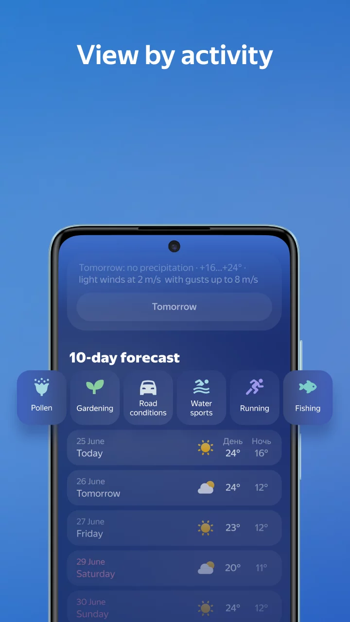 Yandex Weather & Rain Radar