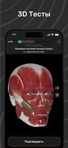 Easy Anatomy: 3D Atlas + AI
