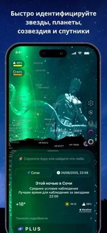 Night Sky