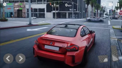 UCDS/ULTIMATE CAR DRIVING SIM