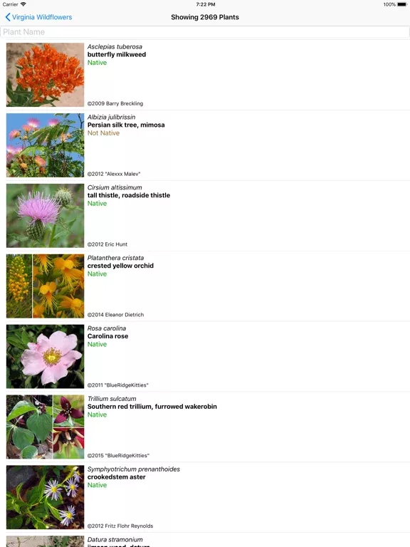 Virginia Wildflowers