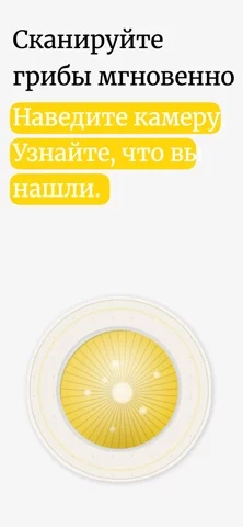Shroomlens: Грибы по фото