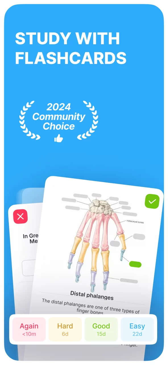 Noji – Flashcards study app