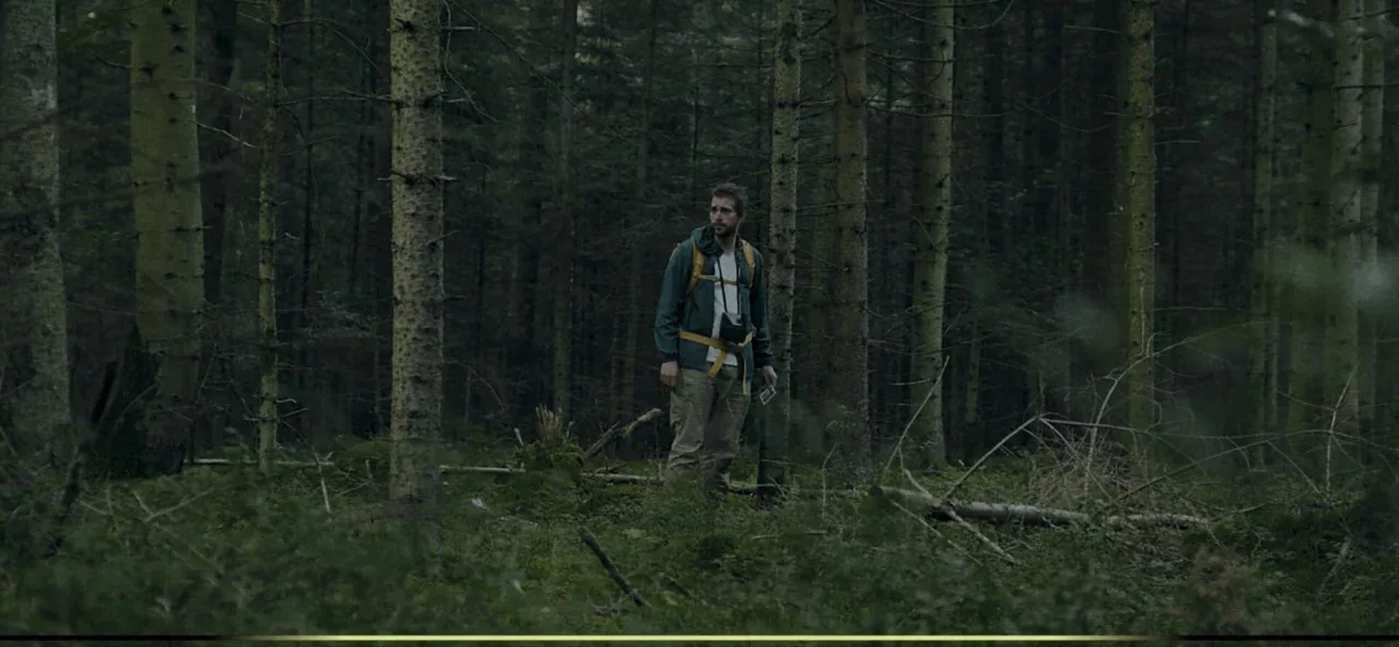 Heart of the Forest: Soundtrack Edition