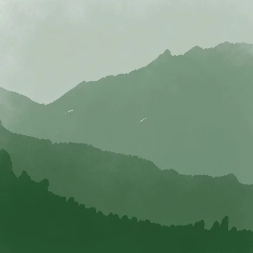 Words in the Woods