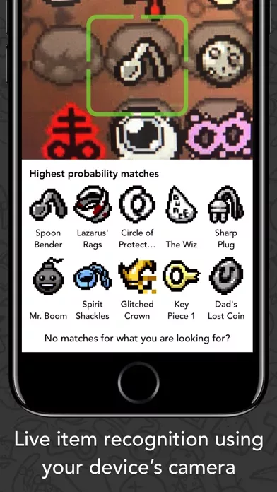 Guide for Binding of Isaac