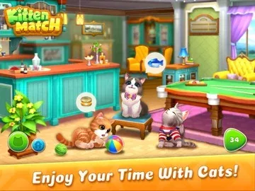 Kitten Match