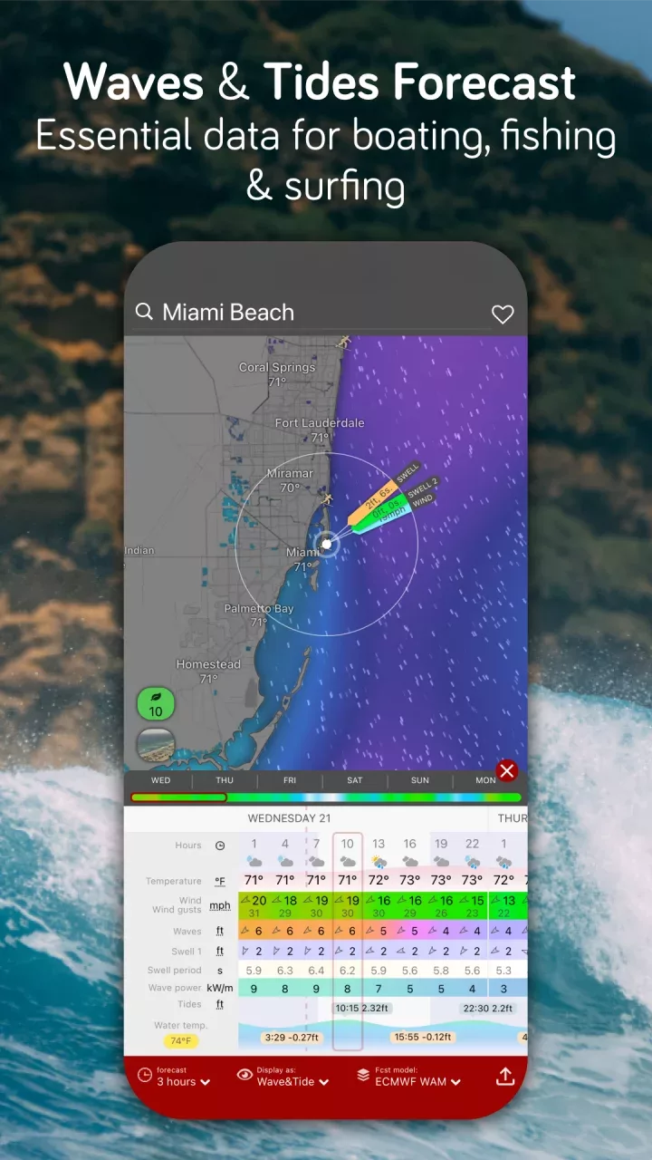 Windy.com - Weather Forecast