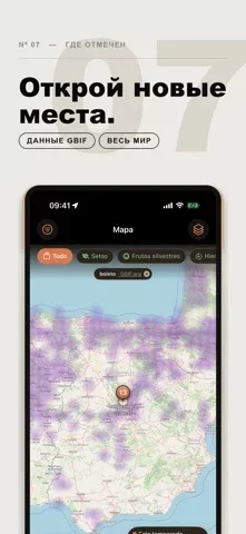 Mycel — карта грибов