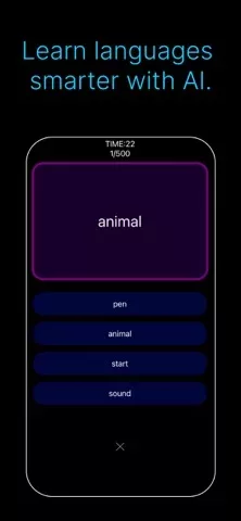 IANKI Flashcards