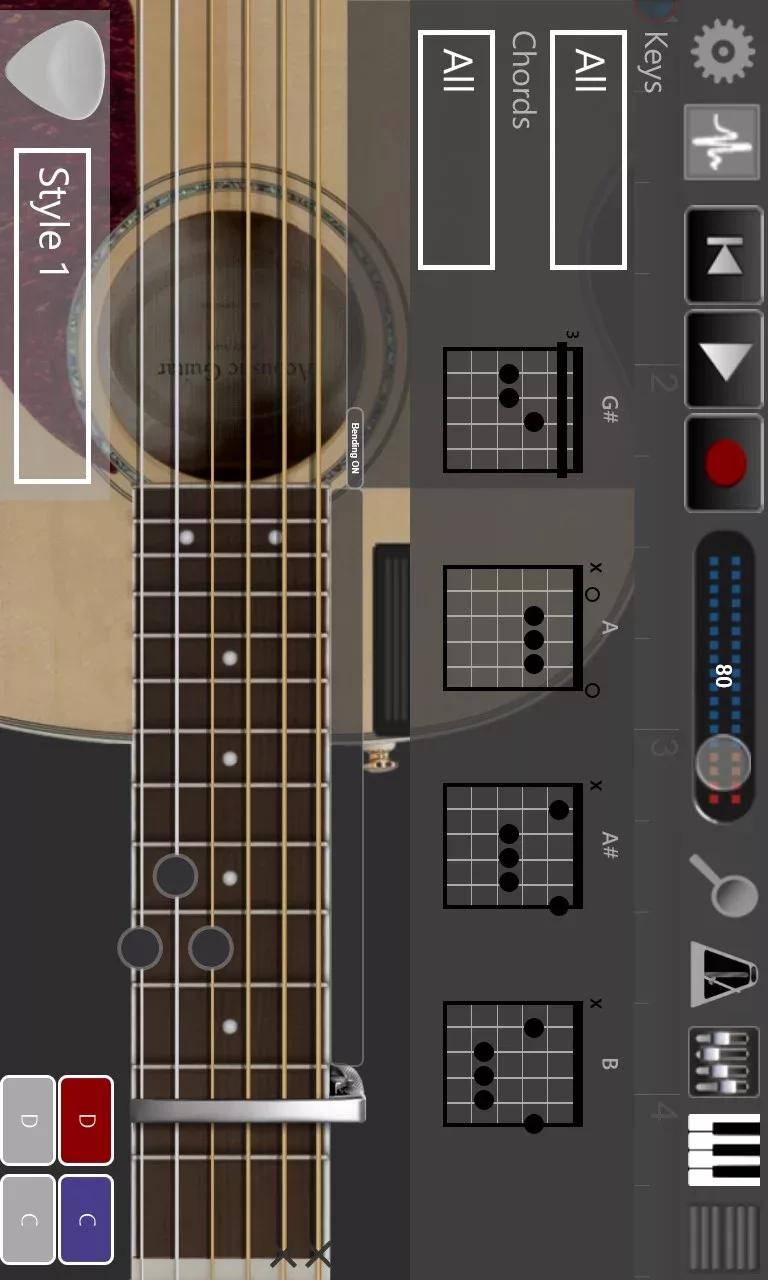 Acoustic Guitar Pro
