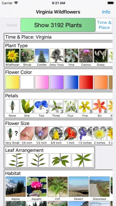 Virginia Wildflowers