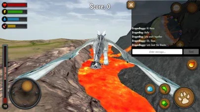 Dragon Multiplayer 3D