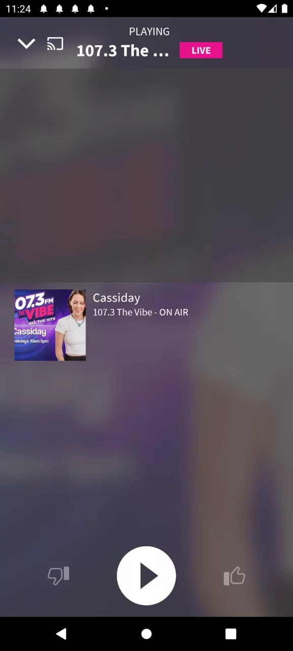 107.3 THE VIBE