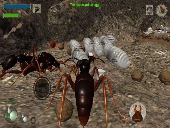 Ant Simulation 3D