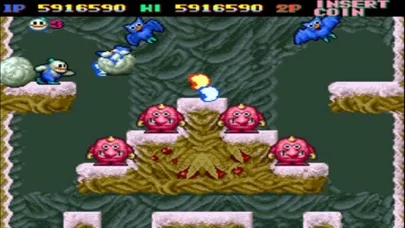 SNOW BROS. classic