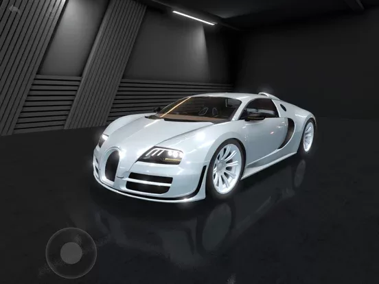 Racing Xperience: Driving Sim