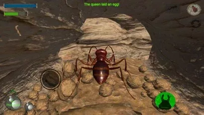 Ant Simulation 3D