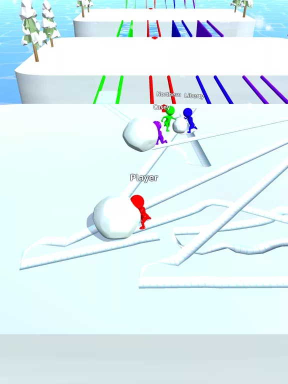 Snow Race!!