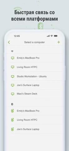 Remote Mouse Pro