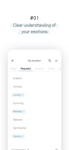 Cherish - diary with 7 formats