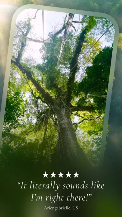 Portal - Escape Into Nature