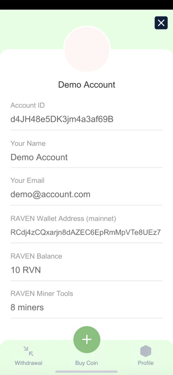 RAVEN Miner by NVS