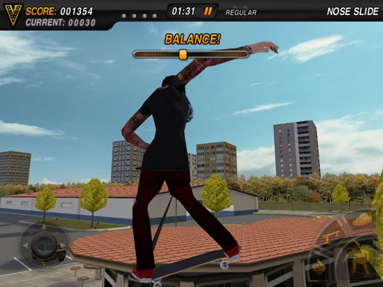 Skateboard Party